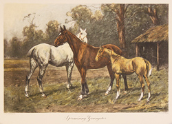 Large image, click to enlarge