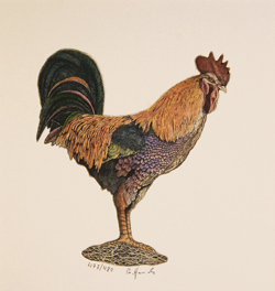 Large image, click to enlarge