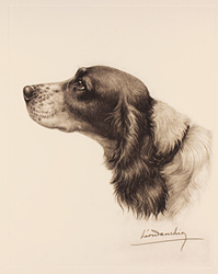 Large image, click to enlarge