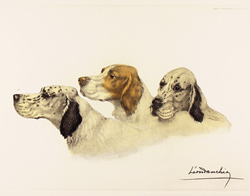 Large image, click to enlarge