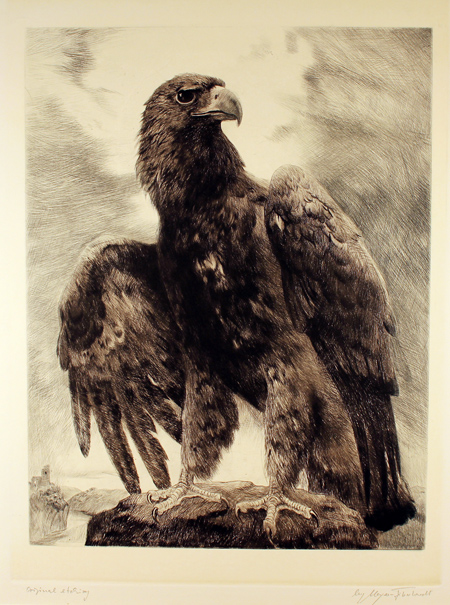 Engraving, Engraving, Eagle