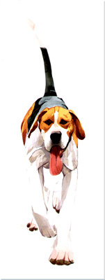 Mary Ann Rogers, Signed limited edition print, Rambler