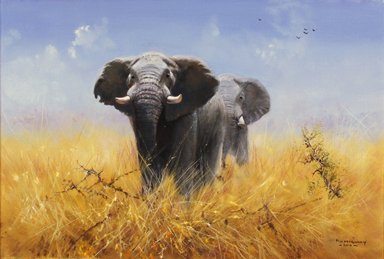 Pip McGarry, Original oil painting on canvas, Elephants Without frame image. Click to enlarge