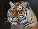 Large image, click to enlarge
