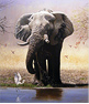 Large image, click to enlarge