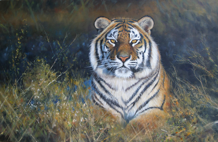 Pip McGarry, Original oil painting on canvas, Reclining Tiger