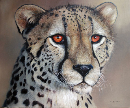 Pip McGarry, Original oil painting on canvas, Cheetah Portrait