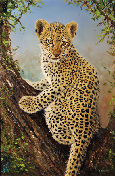 Pip McGarry, Original oil painting on canvas, Leopard Cub in a Tree