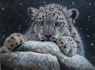Large image, click to enlarge