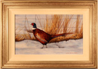 Large image, click to enlarge