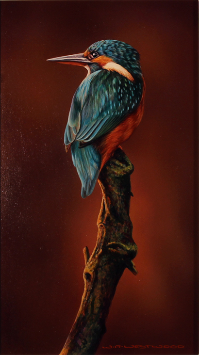 Wayne Westwood, Original oil painting on panel, Kingfisher 8x14ins, Art ...