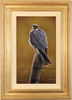 Wayne Westwood, British Wildlife Artist at York Fine Arts