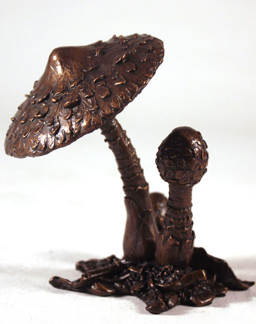 Keith Sherwin, Bronze, Parasol Mushroom Without frame image. Click to enlarge