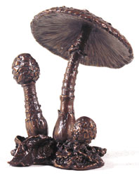 Keith Sherwin, Bronze, Parasol Mushroom Large image. Click to enlarge