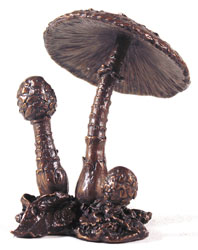 Keith Sherwin, Bronze, Parasol Mushroom