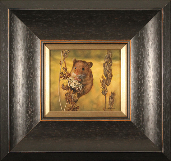Carl Whitfield, Original oil painting on panel, Harvest Mouse, click to enlarge