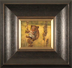Large image, click to enlarge