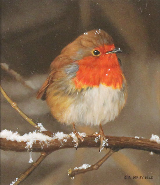 Carl Whitfield, Original oil painting on panel, Winter Robin