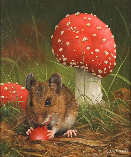 Carl Whitfield, Original oil painting on panel, Mouse and Toadstool Without frame image. Click to enlarge