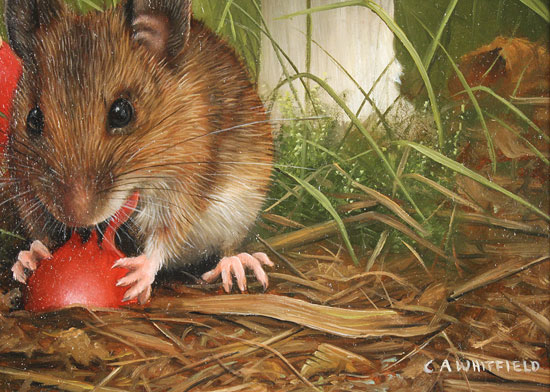 Carl Whitfield, Original oil painting on panel, Mouse and Toadstool Signature image. Click to enlarge