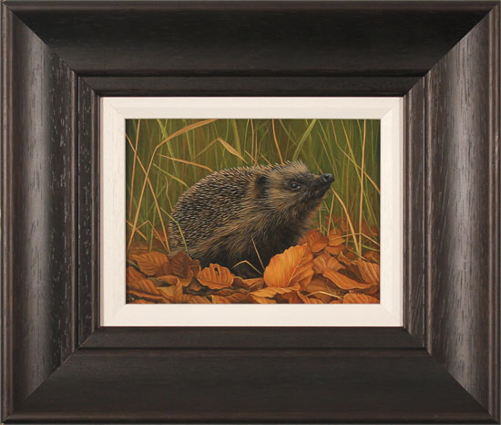 Carl Whitfield, Original oil painting on panel, Hedgehog 