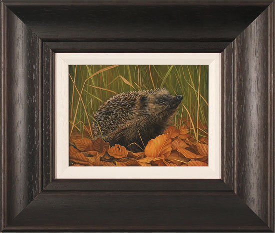 Carl Whitfield, Original oil painting on panel, Hedgehog, click to enlarge