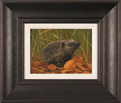 Large image, click to enlarge