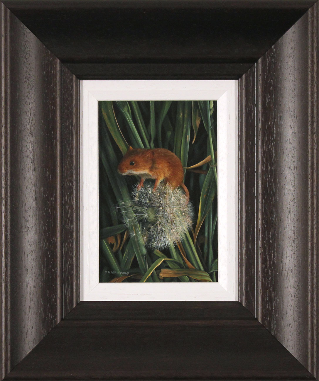 Carl Whitfield, Original oil painting on panel, Field Mouse. Click to enlarge