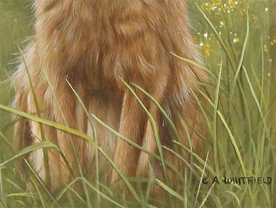 Carl Whitfield, Original oil painting on panel, Hare Signature image. Click to enlarge