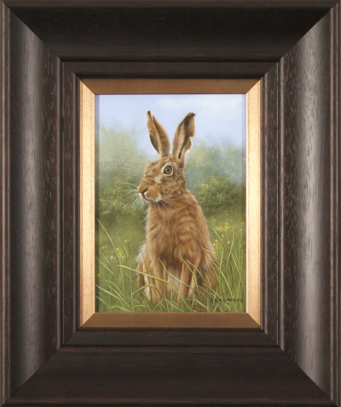 Carl Whitfield, Original oil painting on panel, Hare. Click to enlarge