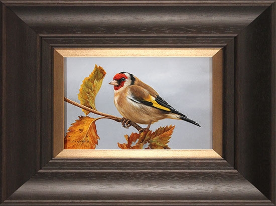 Carl Whitfield, Original oil painting on panel, Goldfinch, click to enlarge