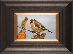 Carl Whitfield, Original oil painting on panel, Goldfinch