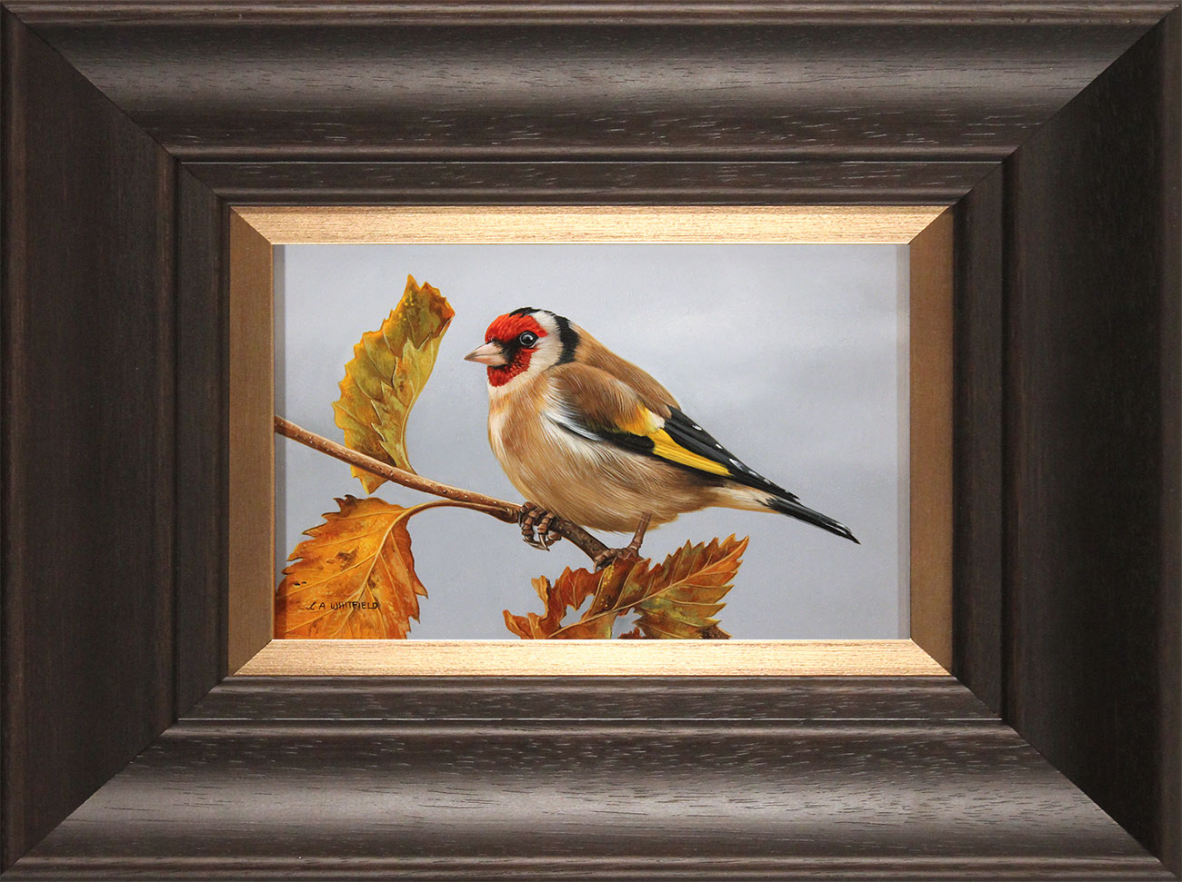 Carl Whitfield, Original oil painting on panel, Goldfinch. Click to enlarge