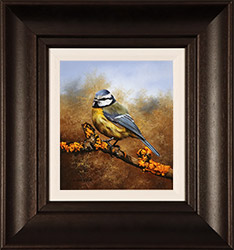 Carl Whitfield, Original oil painting on panel, Goldfinch