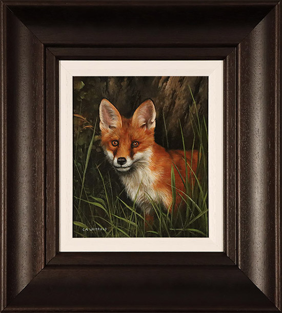 Carl Whitfield, Original oil painting on panel, Fox, click to enlarge