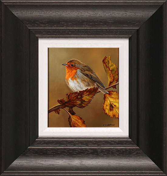 Carl Whitfield, Original oil painting on panel, Robin , click to enlarge