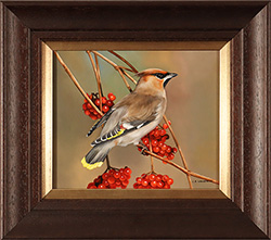 Large image, click to enlarge