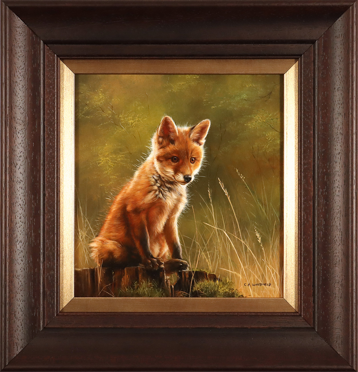 Carl Whitfield, Original oil painting on panel, Fox Cub, click to enlarge