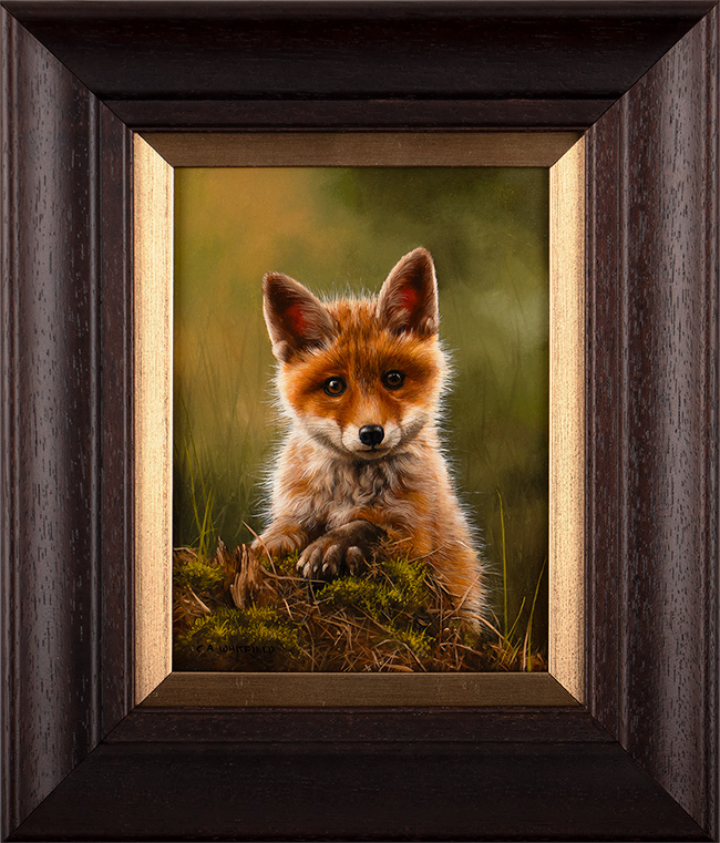 Carl Whitfield, Original oil painting on panel, Fox Cub