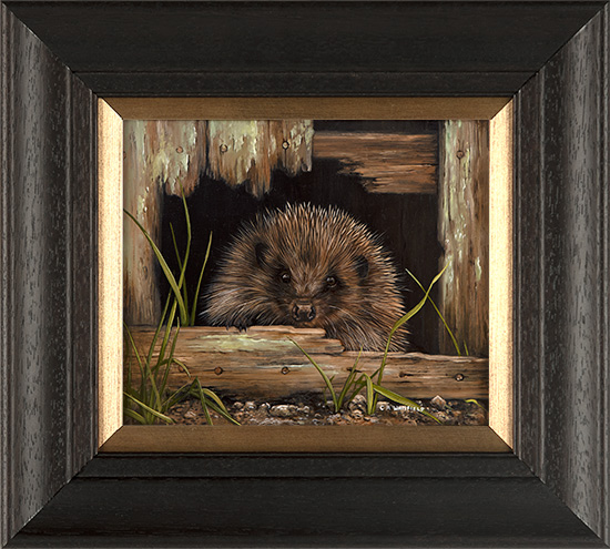 Carl Whitfield, Original oil painting on panel, Hedgehog, click to enlarge