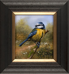 Carl Whitfield, Original oil painting on panel, Blue Tit