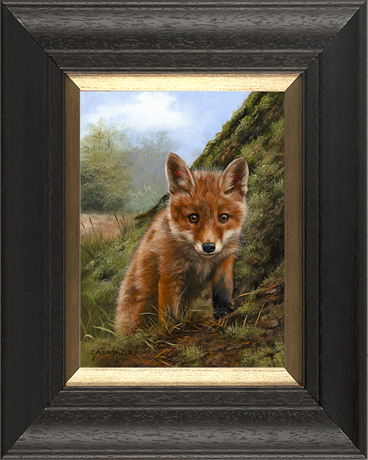 Carl Whitfield, Original oil painting on panel, Fox Cub, click to enlarge