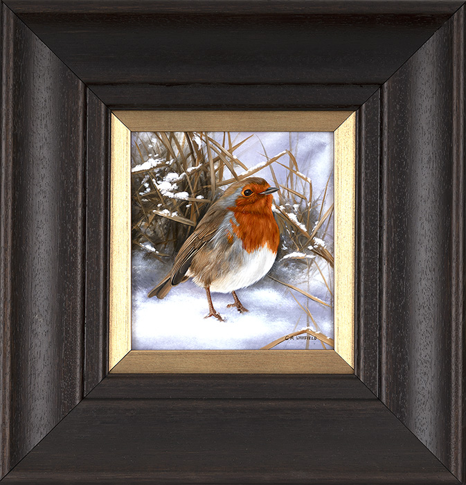 Carl Whitfield, Original oil painting on panel, Robin in the Snow, click to enlarge