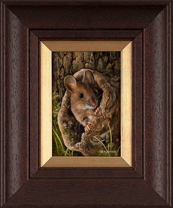 Carl Whitfield, Original oil painting on panel, Peeking Out, click to enlarge