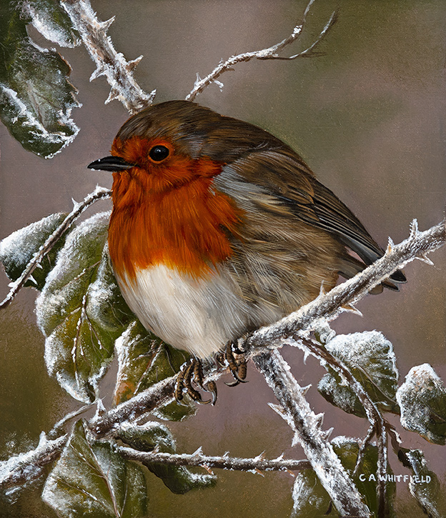 Carl Whitfield, Original oil painting on panel, Winter Visitor, click to enlarge