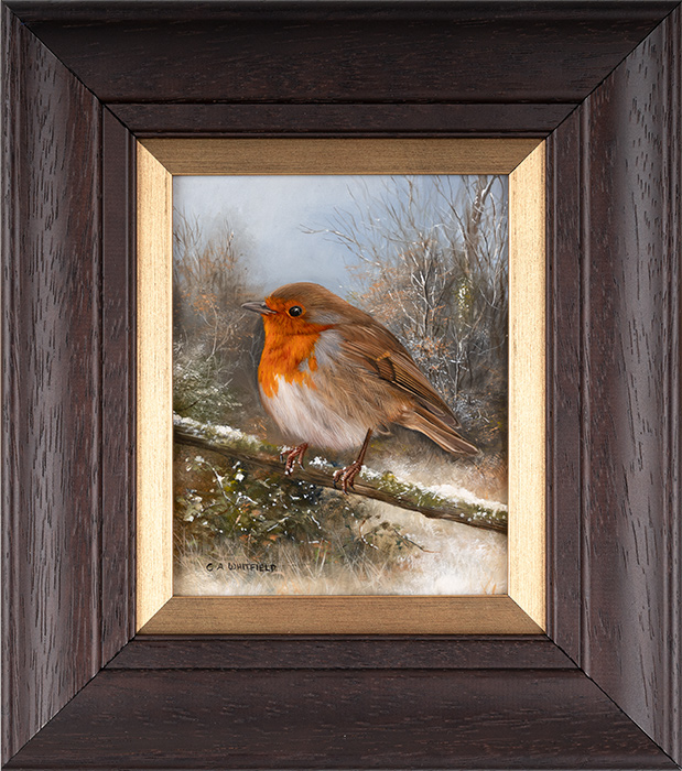 Carl Whitfield, Original oil painting on panel, Robin, click to enlarge
