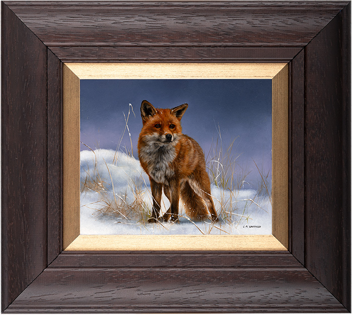 Carl Whitfield, Original oil painting on panel, Fox in WInter, click to enlarge