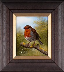 Carl Whitfield, Original oil painting on panel, Robin