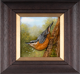 Carl Whitfield, Original oil painting on panel, Nuthatch