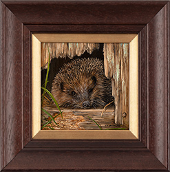 Carl Whitfield, Original oil painting on panel, Hedgehog